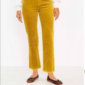 Perfect for the Fall